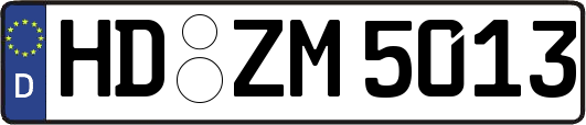 HD-ZM5013