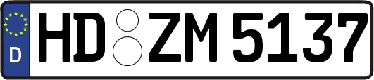 HD-ZM5137