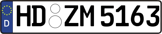 HD-ZM5163