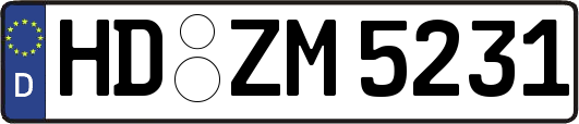 HD-ZM5231