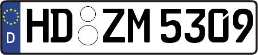 HD-ZM5309