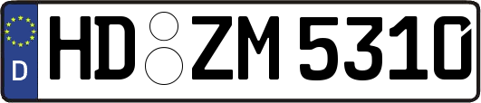 HD-ZM5310