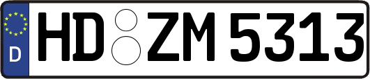 HD-ZM5313