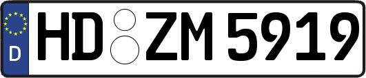 HD-ZM5919