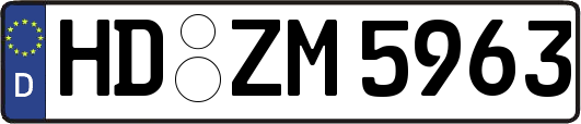 HD-ZM5963