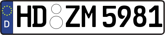 HD-ZM5981