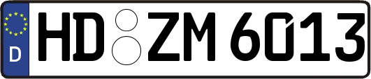 HD-ZM6013