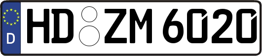 HD-ZM6020