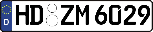 HD-ZM6029