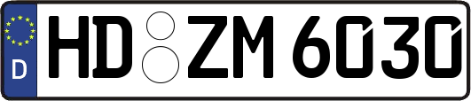 HD-ZM6030
