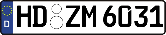 HD-ZM6031