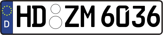 HD-ZM6036