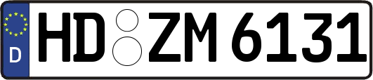 HD-ZM6131