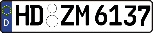 HD-ZM6137