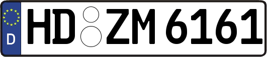 HD-ZM6161