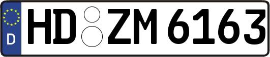 HD-ZM6163