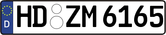 HD-ZM6165