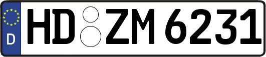 HD-ZM6231