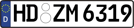 HD-ZM6319