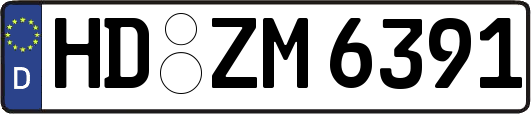 HD-ZM6391
