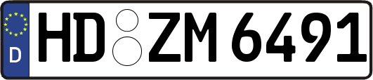 HD-ZM6491