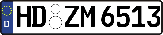 HD-ZM6513