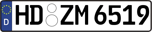 HD-ZM6519