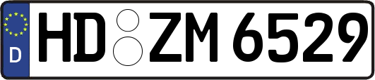 HD-ZM6529