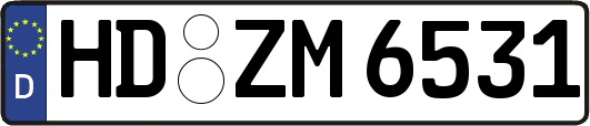HD-ZM6531