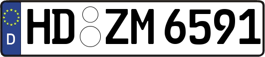 HD-ZM6591