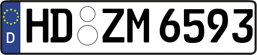 HD-ZM6593