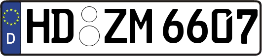 HD-ZM6607