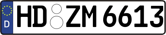 HD-ZM6613