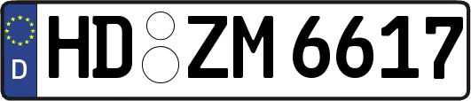 HD-ZM6617