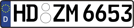 HD-ZM6653