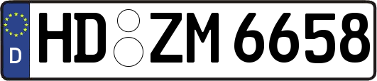 HD-ZM6658