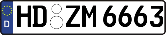 HD-ZM6663