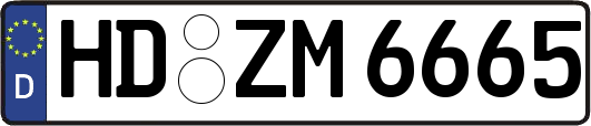 HD-ZM6665