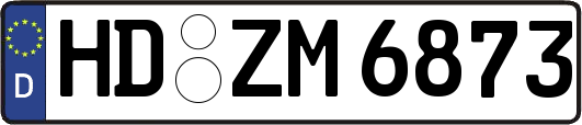 HD-ZM6873