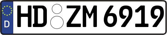 HD-ZM6919
