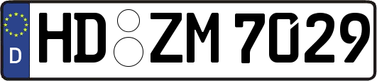 HD-ZM7029