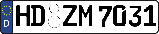 HD-ZM7031