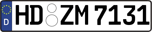 HD-ZM7131