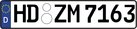 HD-ZM7163