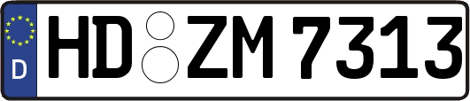 HD-ZM7313