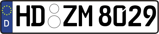 HD-ZM8029