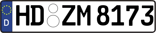 HD-ZM8173