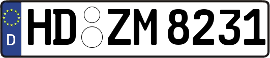 HD-ZM8231
