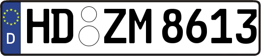 HD-ZM8613