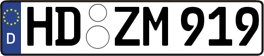HD-ZM919